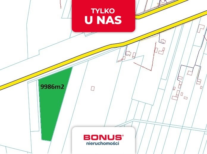 Działka 0,9986 ha pod zabudowę, blisko autostrady A2 Albinów  9 986m2 Foto 1