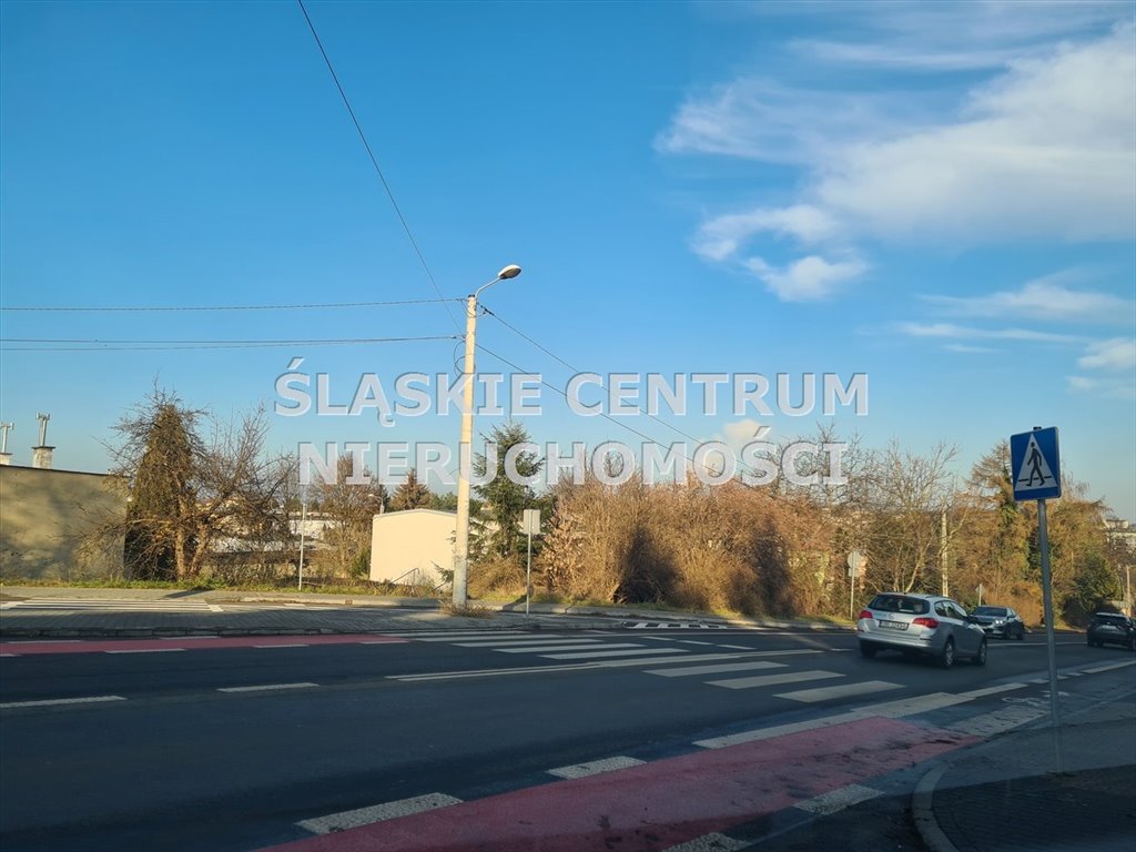 Zdjęcie 8