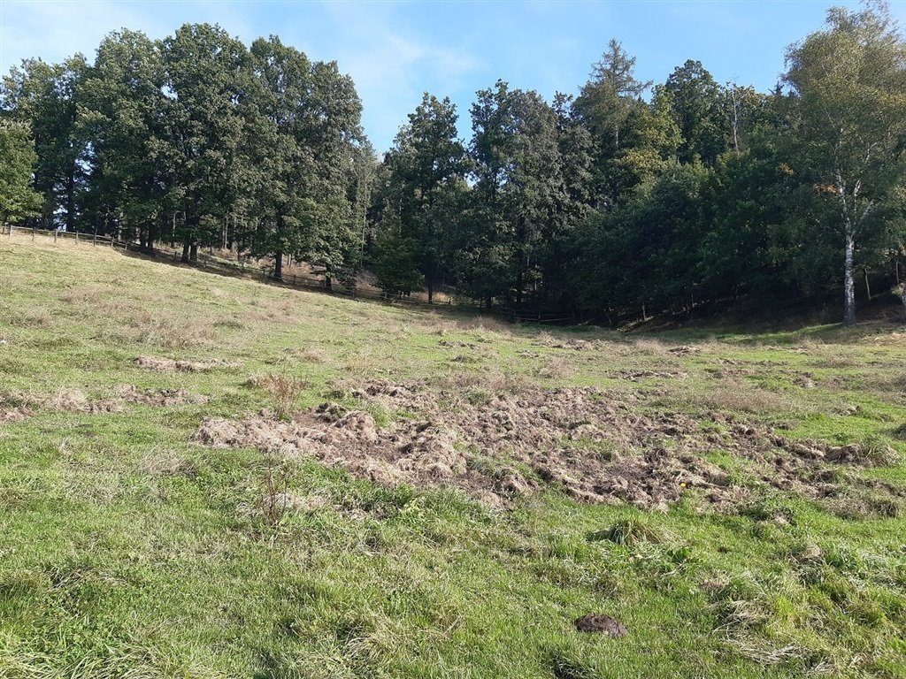 Dom na sprzedaż Wałbrzych, Nowe Miasto  150m2 Foto 17