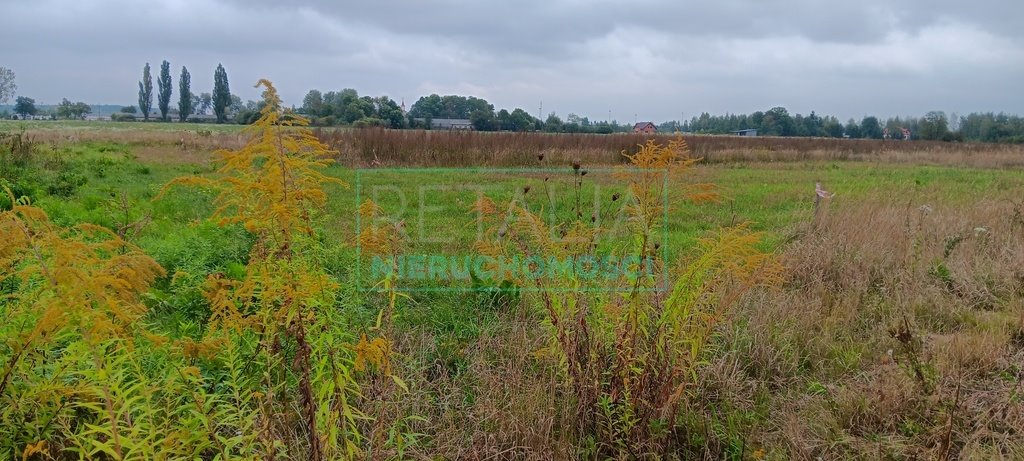 Działka budowlana na sprzedaż Kosów  1 036m2 Foto 11