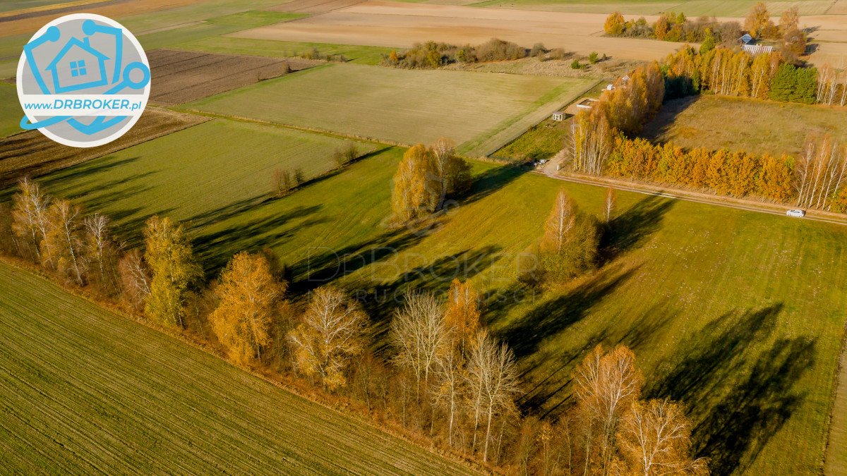 Działka rolna na sprzedaż Gniła  5 990m2 Foto 3