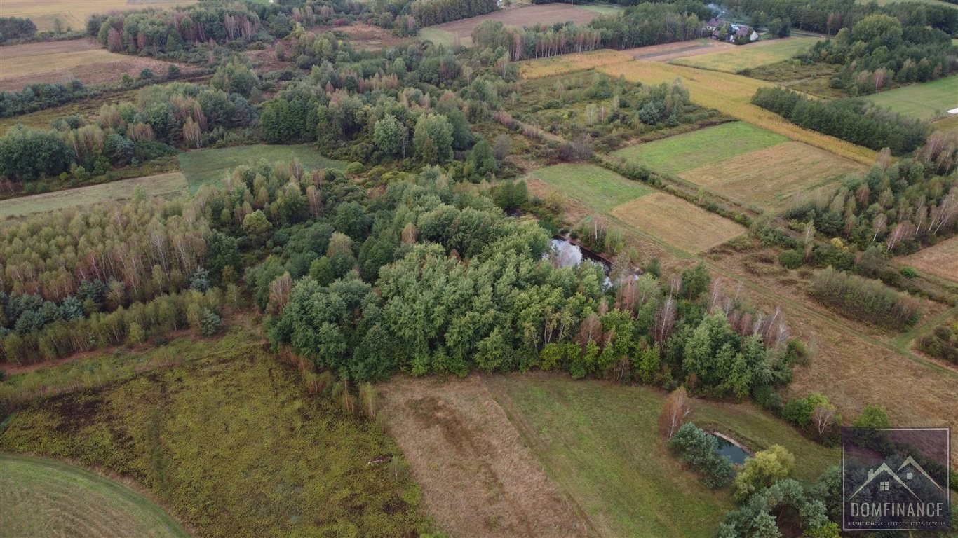 Działka budowlana na sprzedaż Lubasz  7 700m2 Foto 6