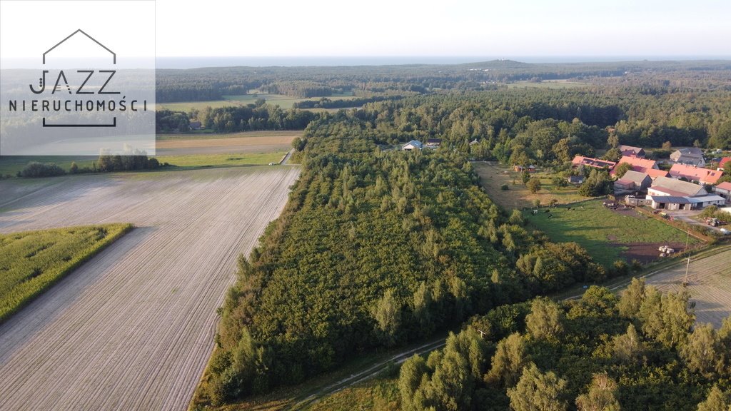 Działka siedliskowa na sprzedaż Ulinia  25 483m2 Foto 10