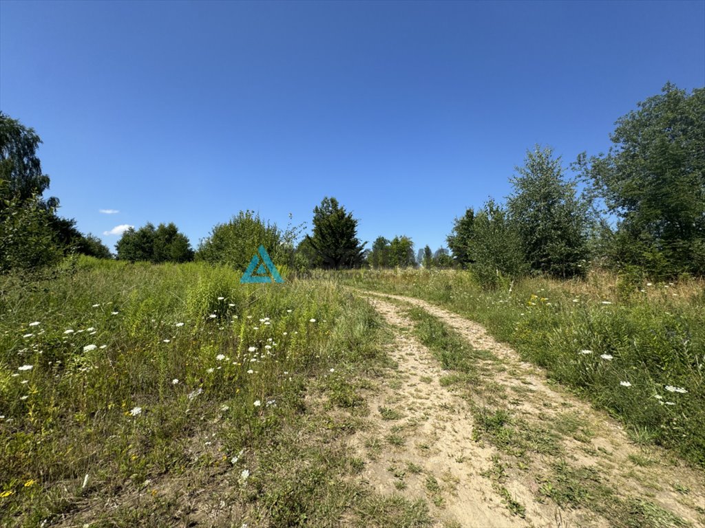 Działka rolna na sprzedaż Łapino Kartuskie, Brzozowa  16 877m2 Foto 6