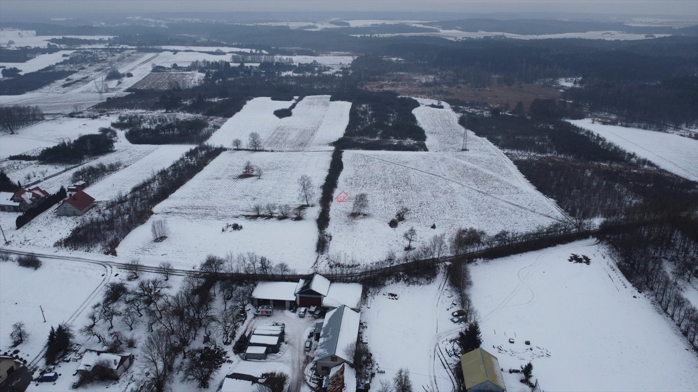 Działka budowlana na sprzedaż Lisów, Leśna  5 336m2 Foto 3