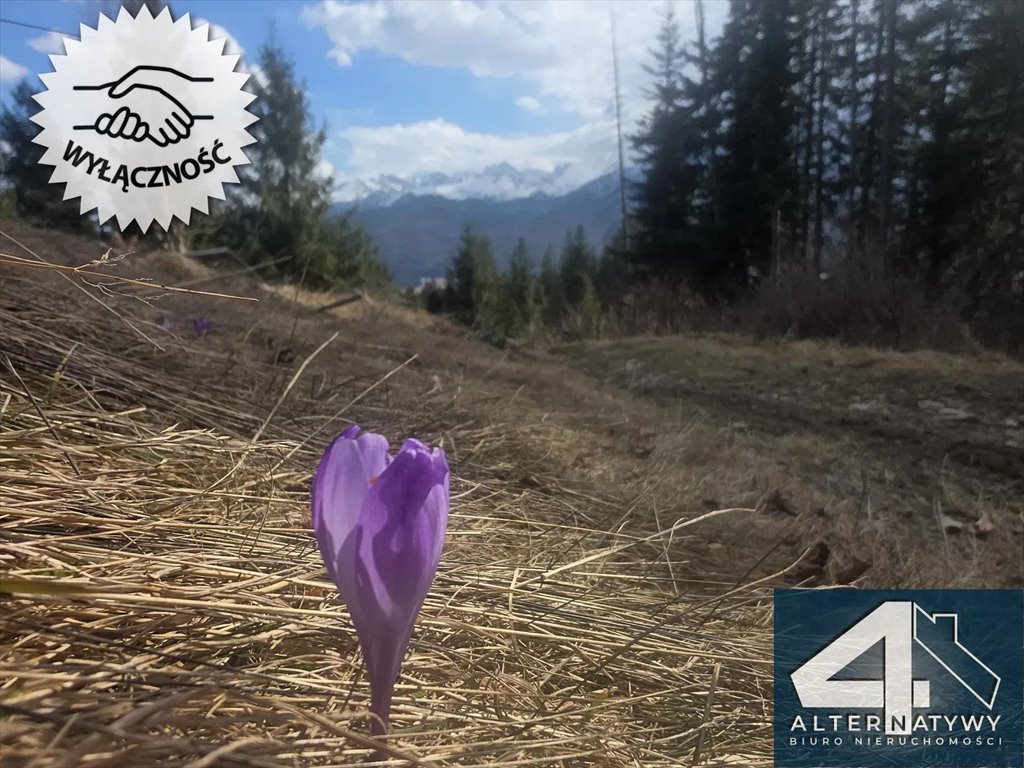 Polecam działkę z widokiem na Tatry 33,88 ar inwestycyjną Zakopane, Droga Zubka 21  3 388m2 Foto 1