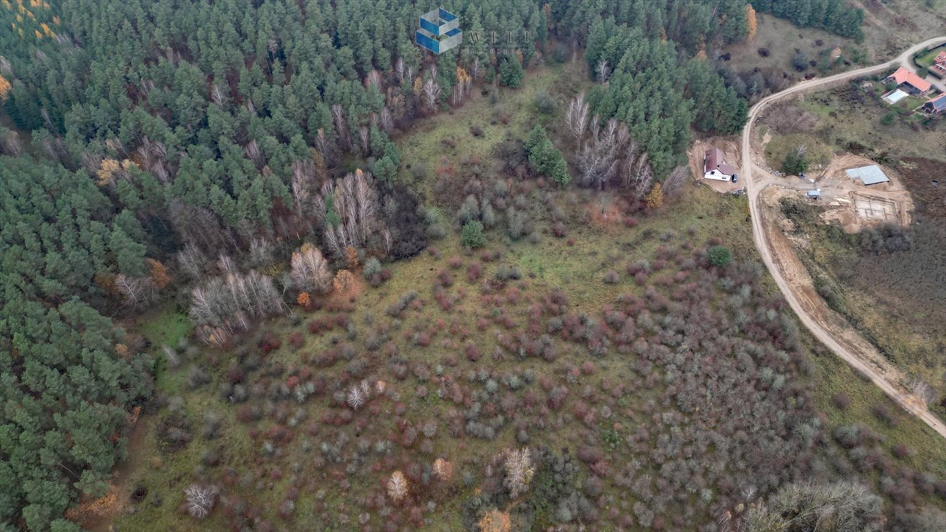 Działka budowlana na sprzedaż Majdy  10 143m2 Foto 6