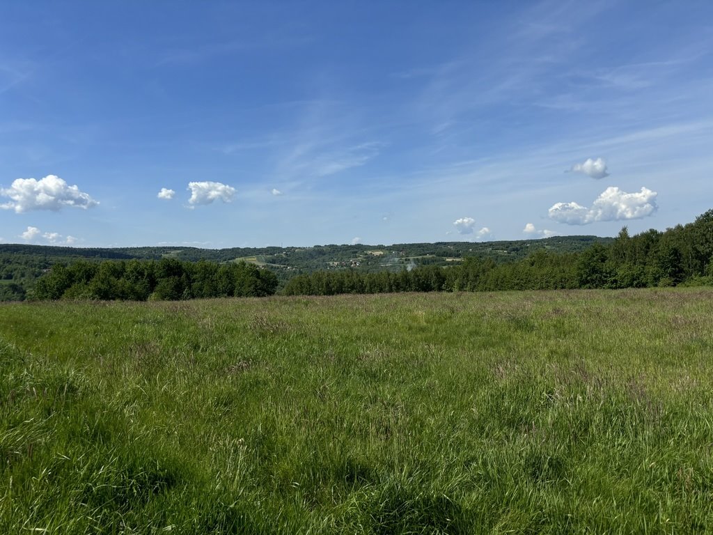 Działka inna na sprzedaż Straszydle  8 300m2 Foto 4