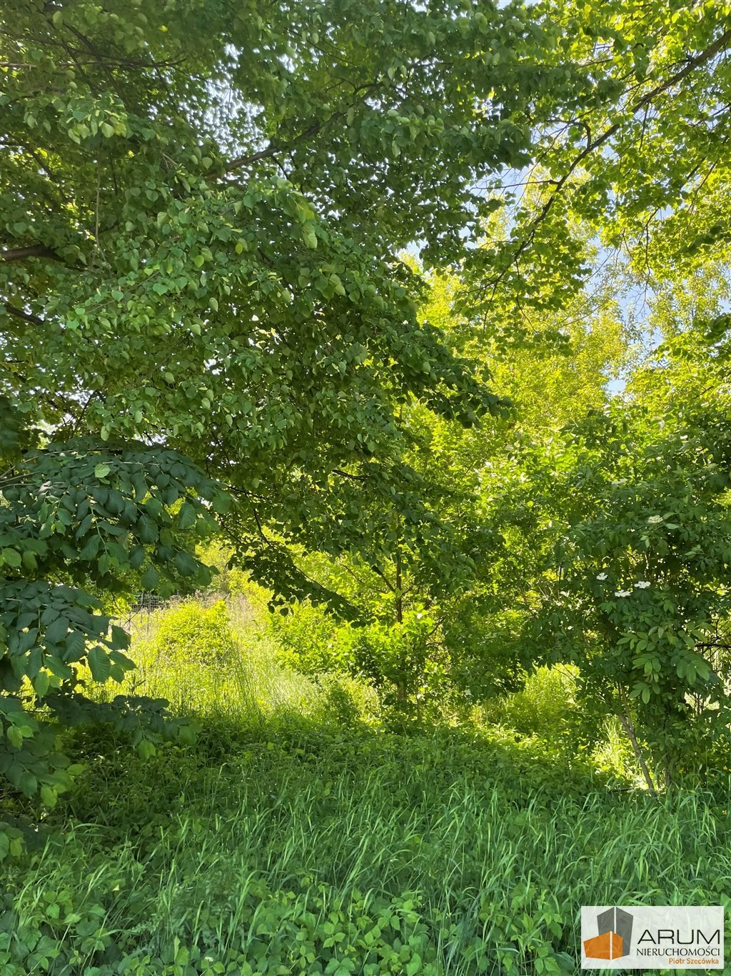 Działka rolna 8 000 m² z mediami w Nowej Wsi - zapraszam Nowa Wieś  8 000m2 Foto 1