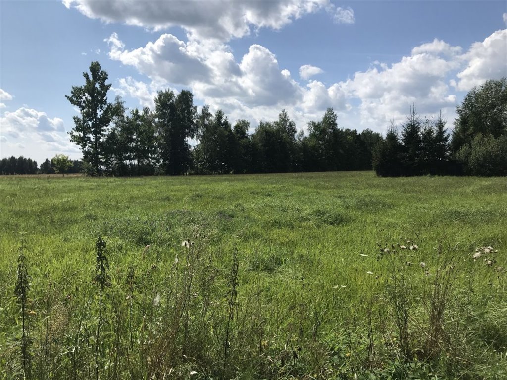 Działka gospodarstwo rolne na sprzedaż Pasynki  3 500m2 Foto 2