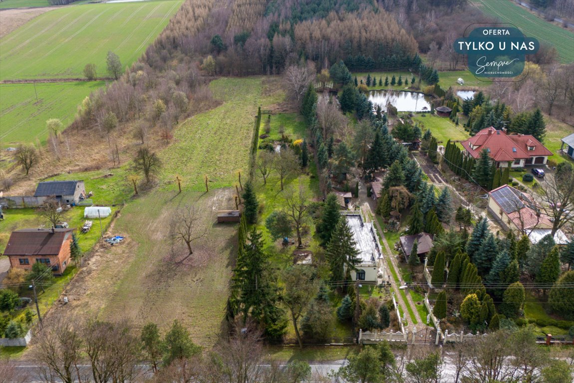 Działka budowlana na sprzedaż Paprotnia  12 600m2 Foto 4