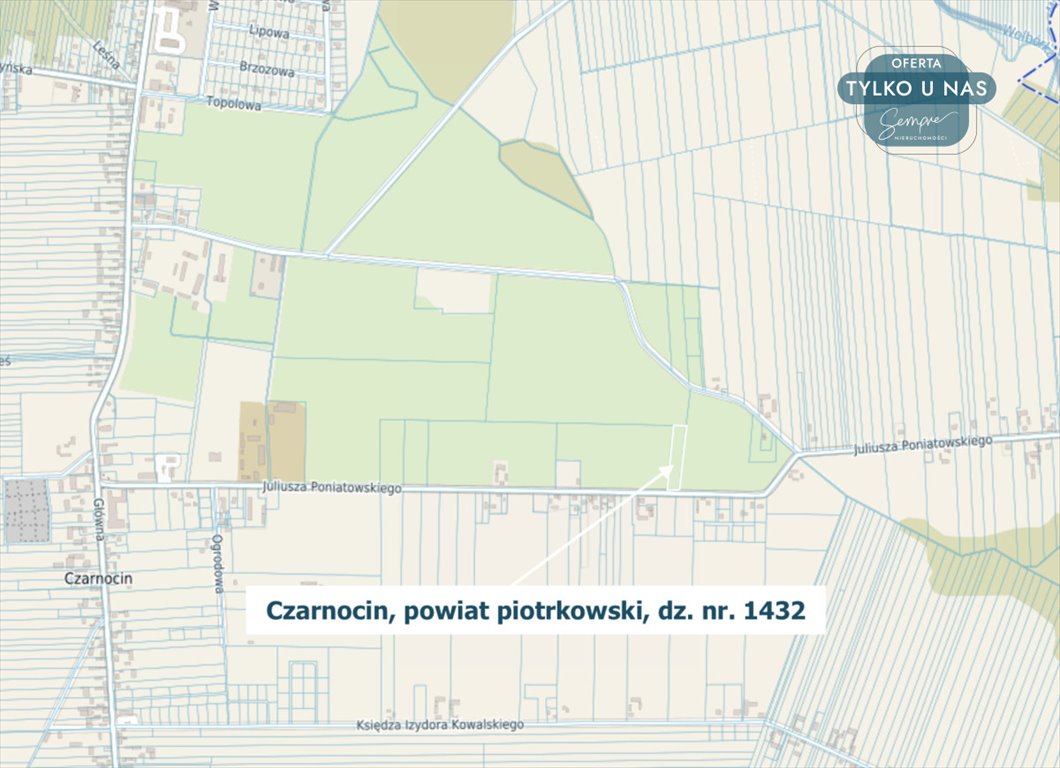 Działka rolna na sprzedaż Czarnocin, Juliusza Poniatowskiego  5 800m2 Foto 8