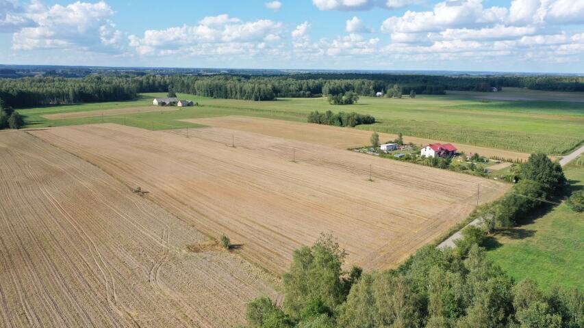 Działka budowlana na sprzedaż Przytuły  3 001m2 Foto 11