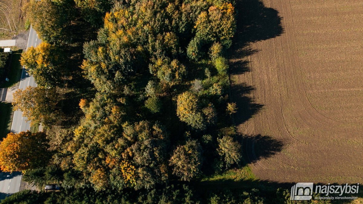 Działka rolna na sprzedaż Brojce, obrzeża  4 100m2 Foto 5