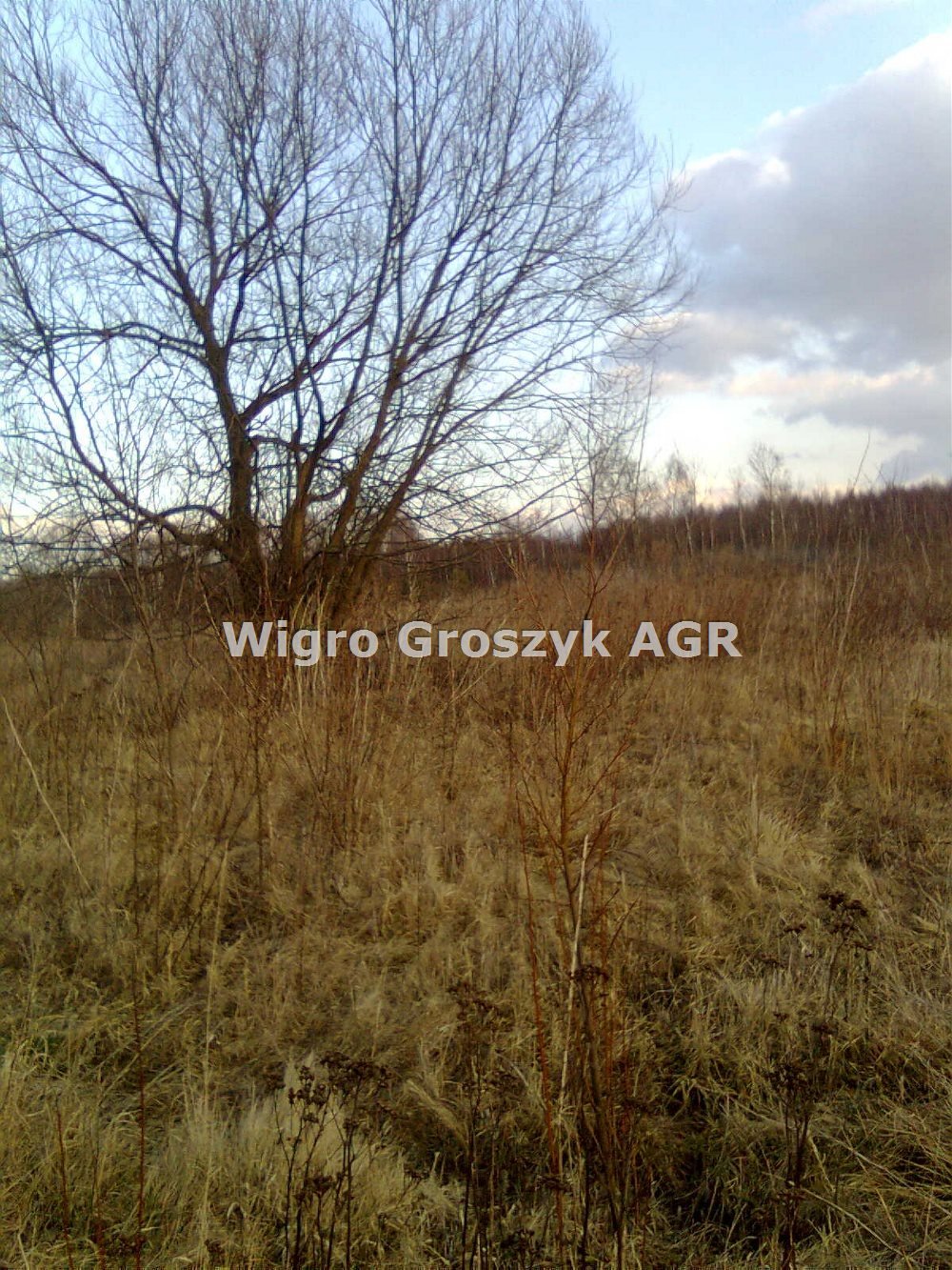 Działka rolna 6 900 m² z planem zabudowy w Czeczotkach Czeczotki  6 900m2 Foto 1