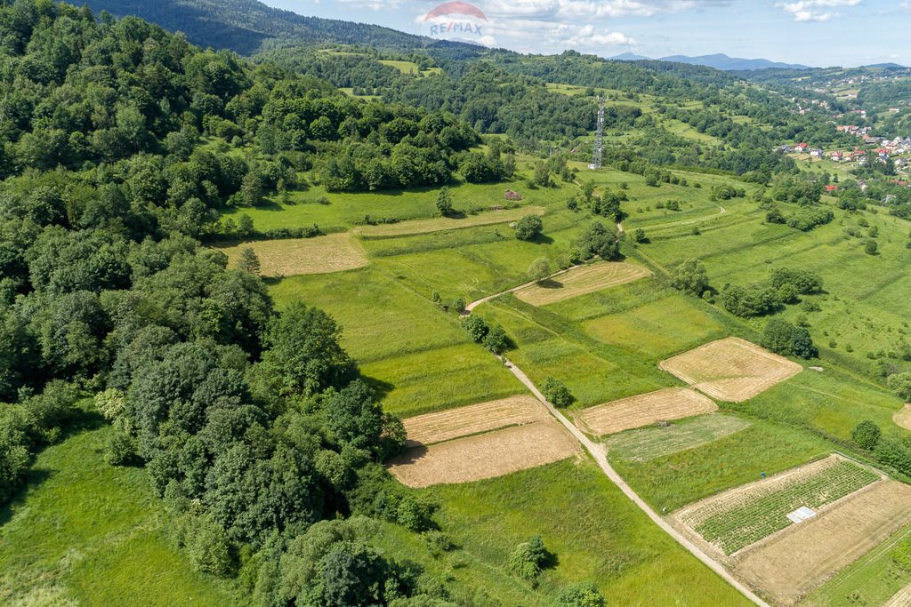 Działka rolna na sprzedaż Tenczyn  3 280m2 Foto 4