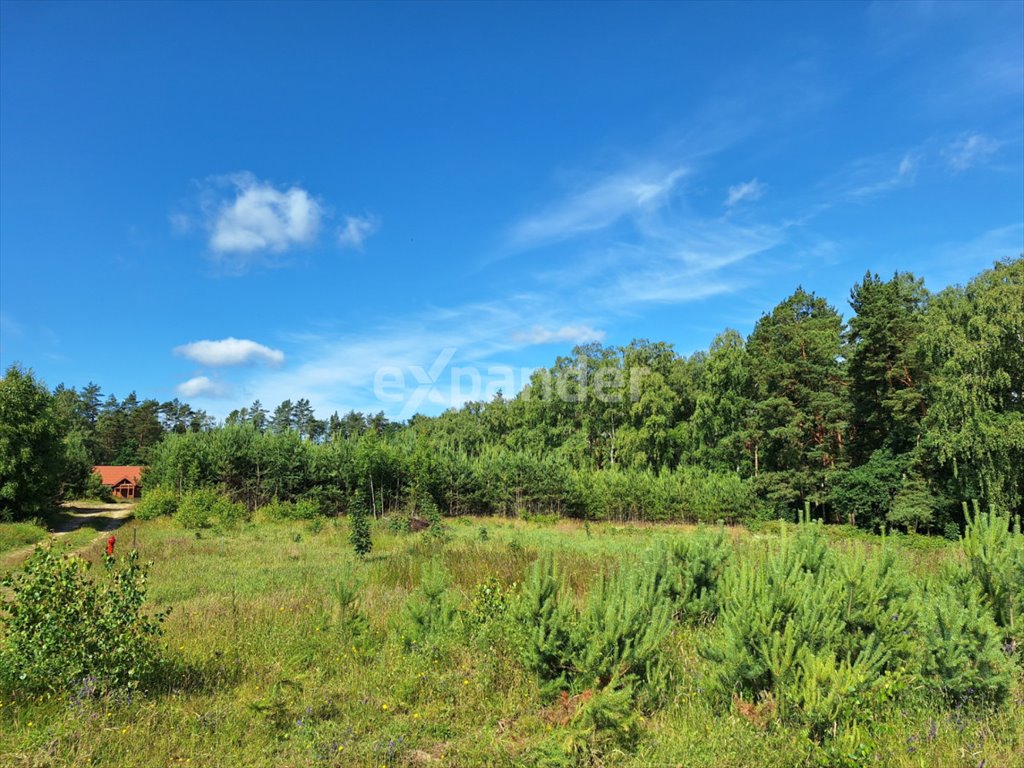 Działka budowlana na sprzedaż Odargowo, Widokowa  1 166m2 Foto 1