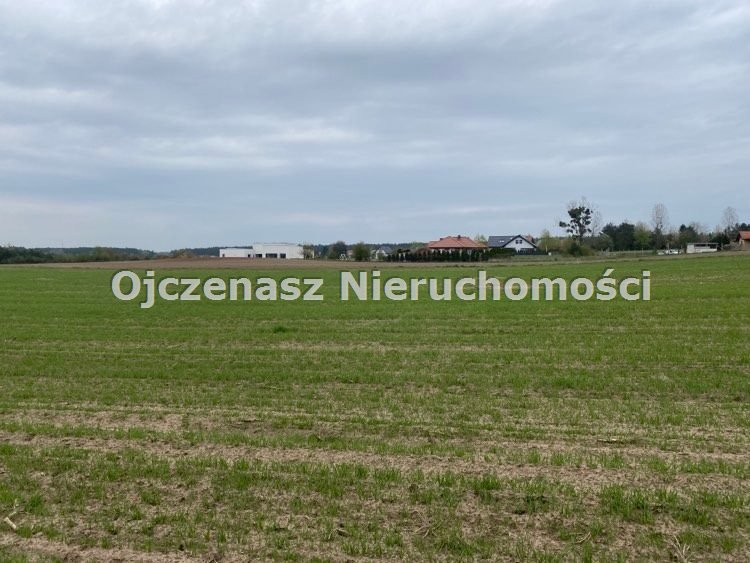 Zdjęcie 3