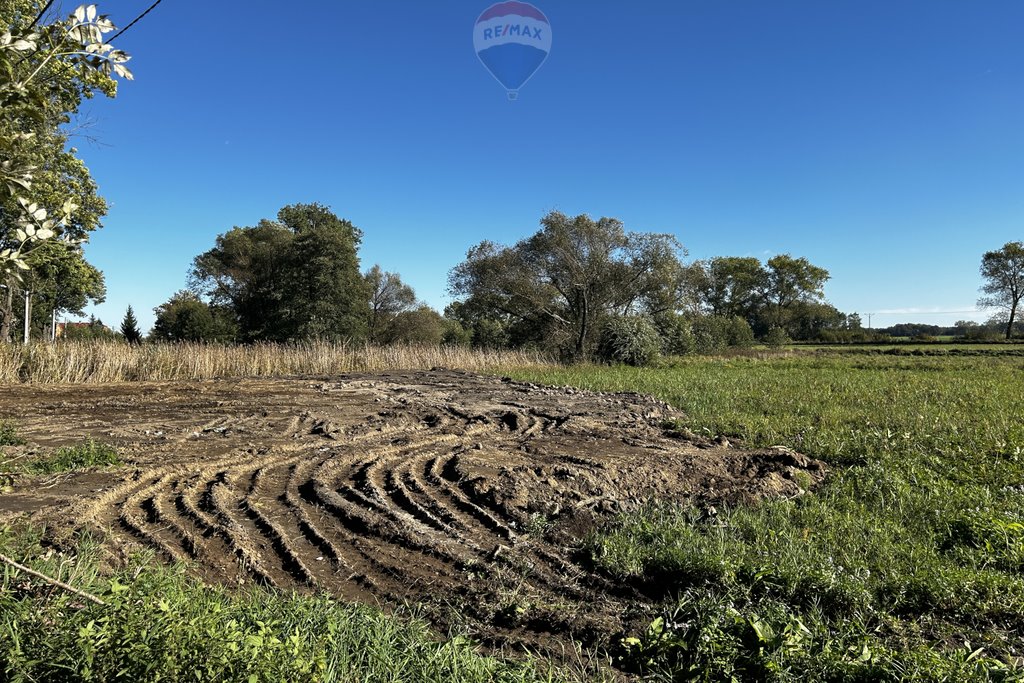 Działka rolna na sprzedaż Witków  4 200m2 Foto 18