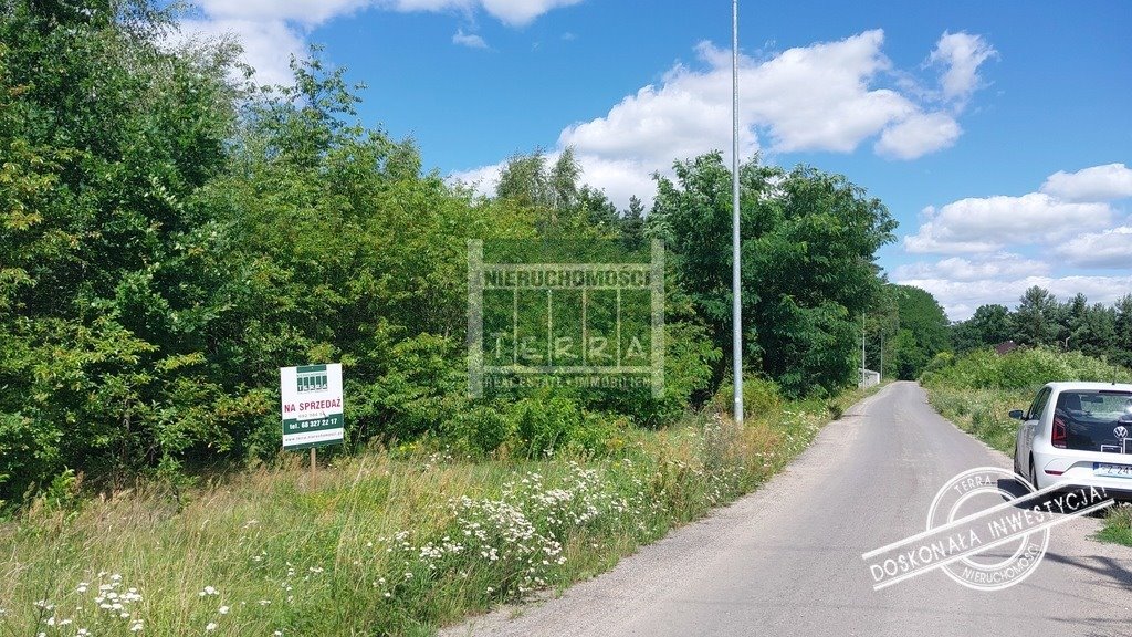 Na sprzedaż działka 9100 m² z lasem i warunkami zabudowy Słone, Spokojna  9 100m2 Foto 1