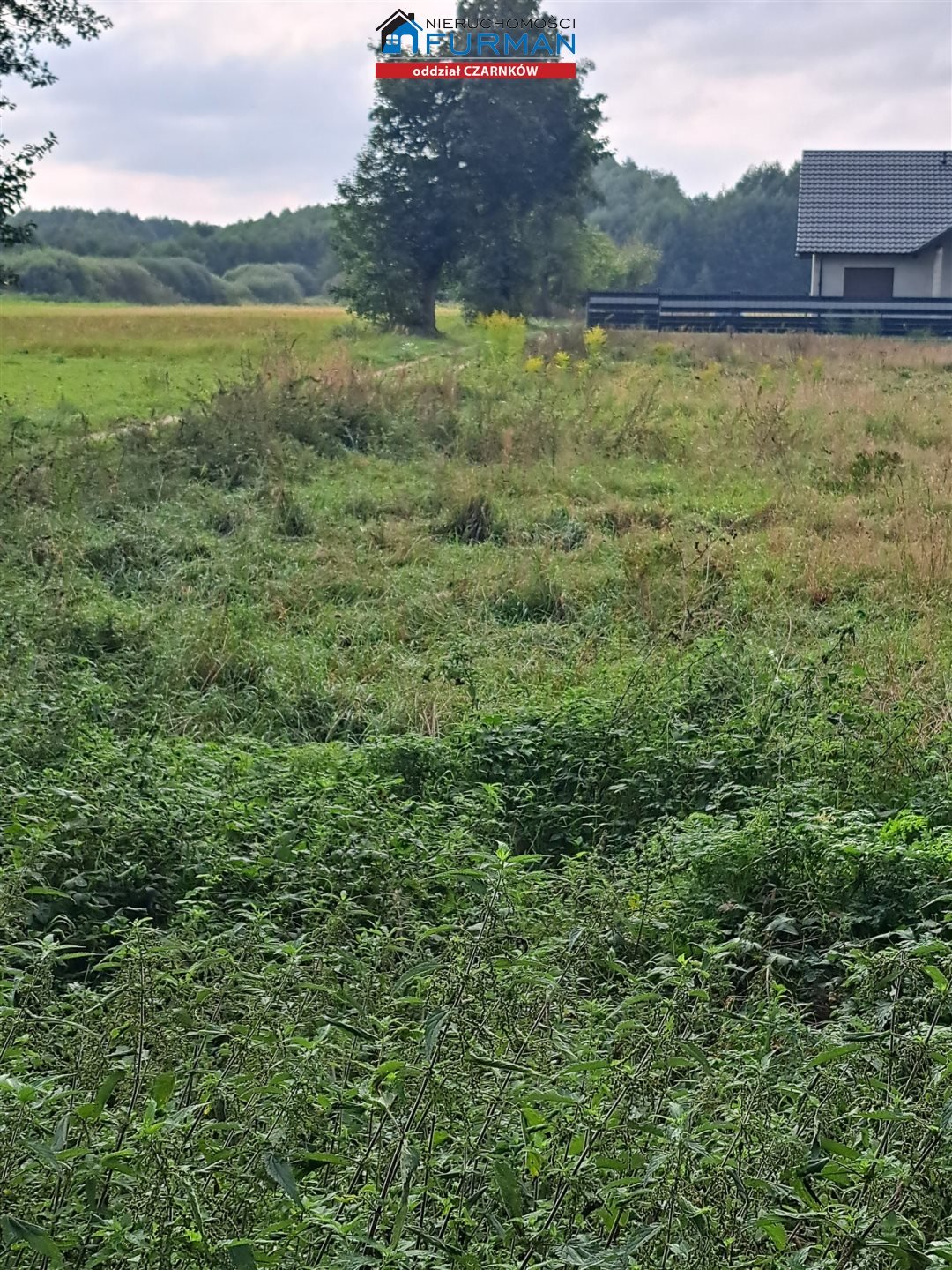 Działka budowlana na sprzedaż Zofiowo  3 005m2 Foto 5