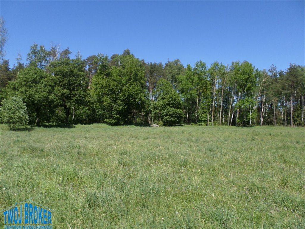 Działka rolna na sprzedaż Strzeczona, Strzeczona  52 800m2 Foto 6