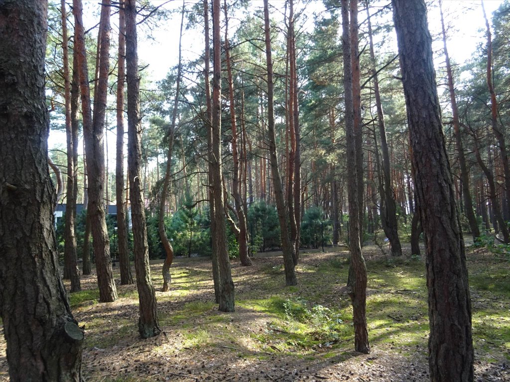 Działka przemysłowo-handlowa na sprzedaż Józefów, Aleksandra Puszkina  1 657m2 Foto 3