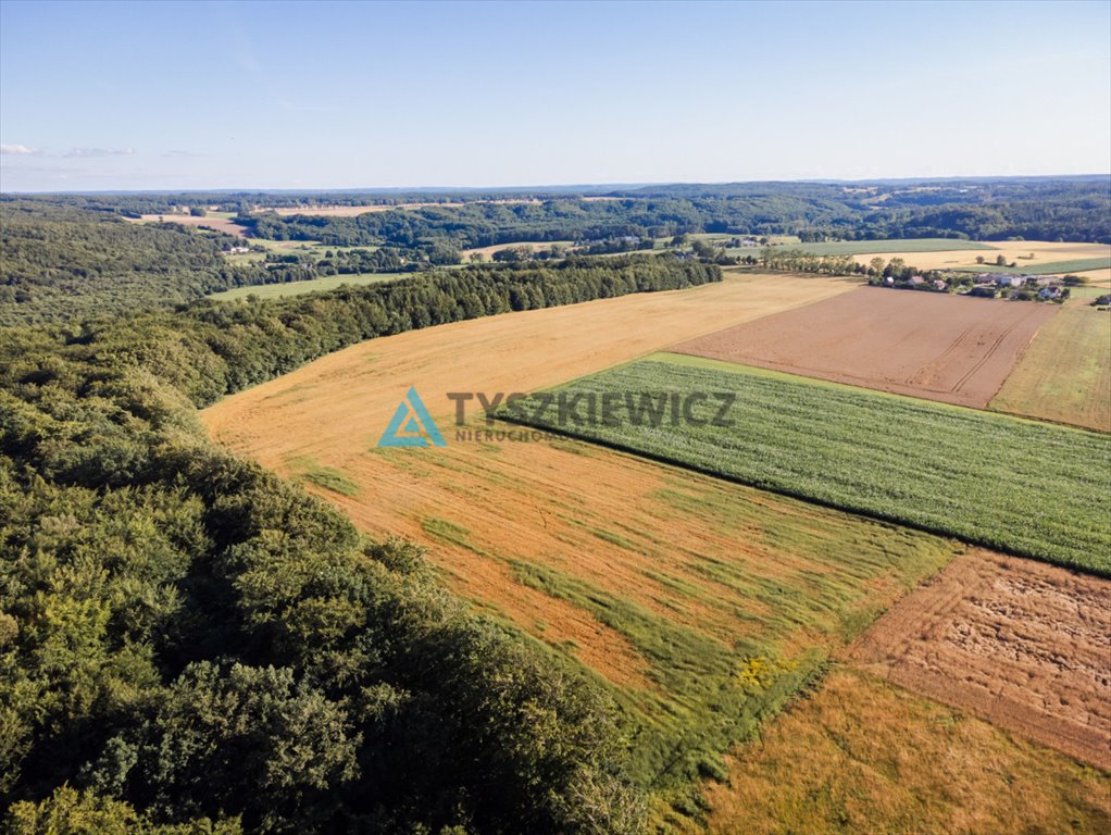 Działka rolna na sprzedaż Lisewo, Leśna  3 032m2 Foto 6