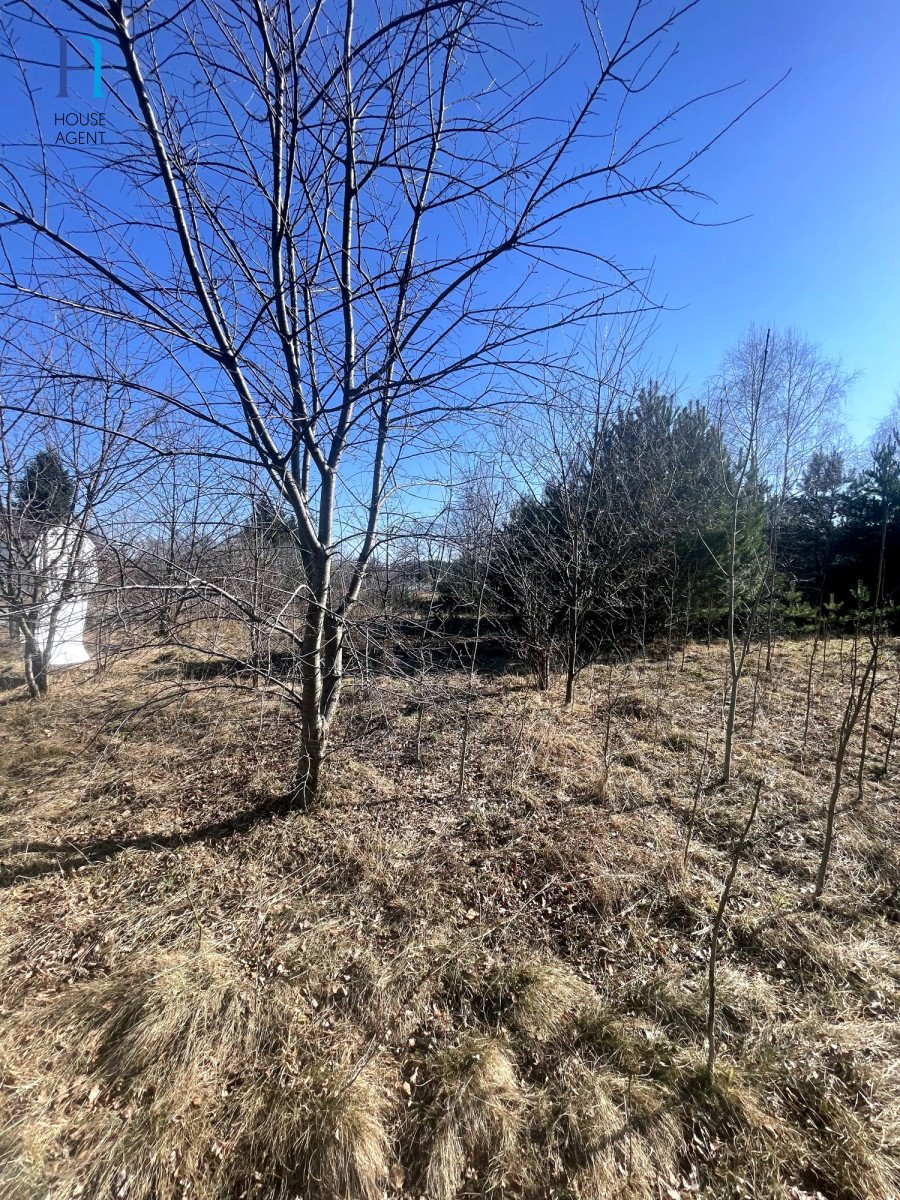Działka rolna na sprzedaż Janów  6 000m2 Foto 11