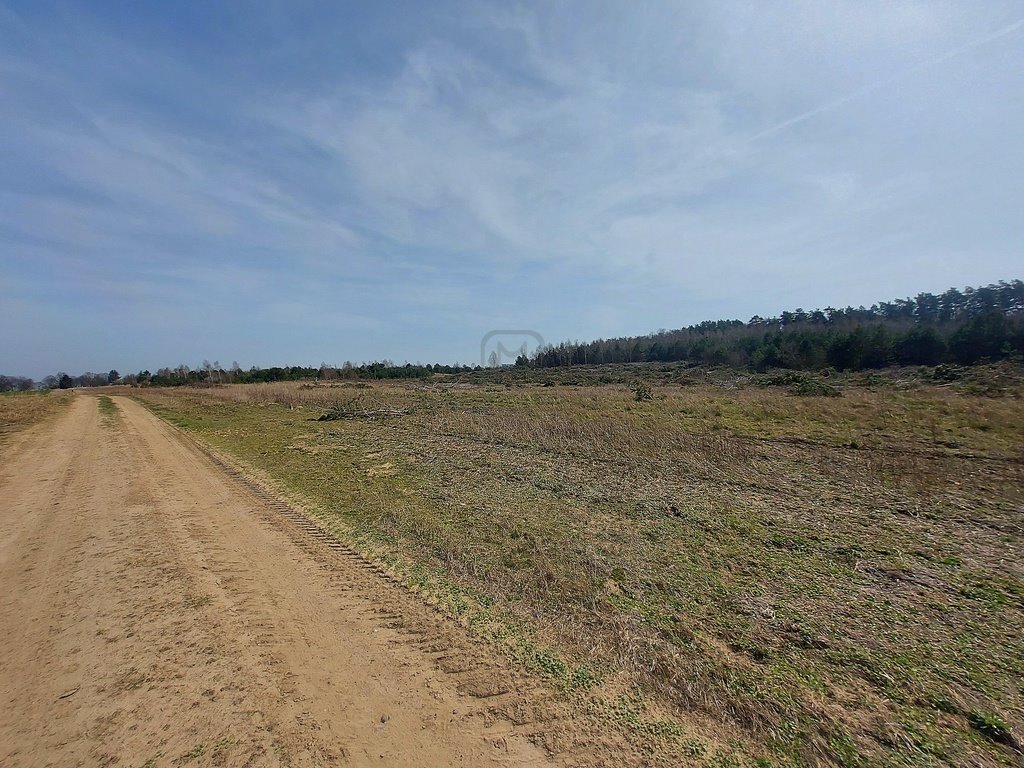 Działka budowlana na sprzedaż Baczyna  1 741m2 Foto 14