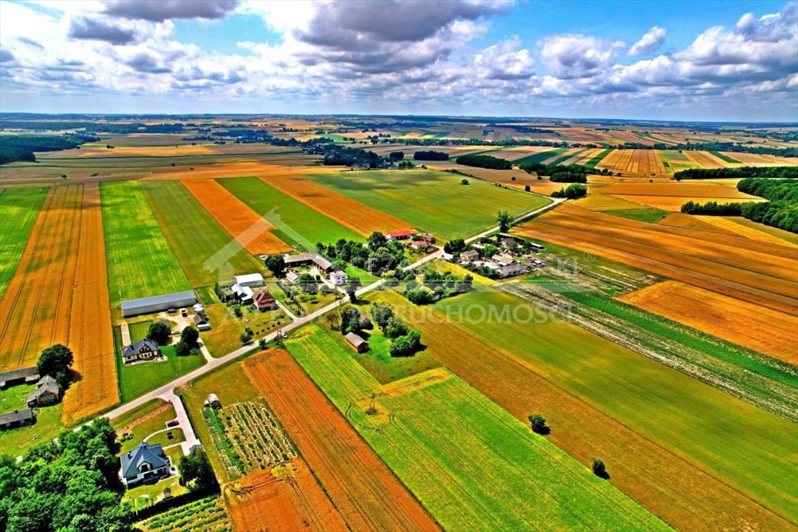 Działka budowlana na sprzedaż Józwów, Józwów  3 000m2 Foto 5