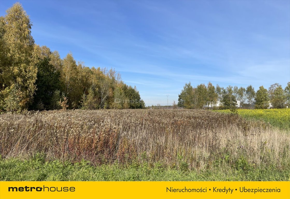 Działka inna na sprzedaż Janów  2 100m2 Foto 3