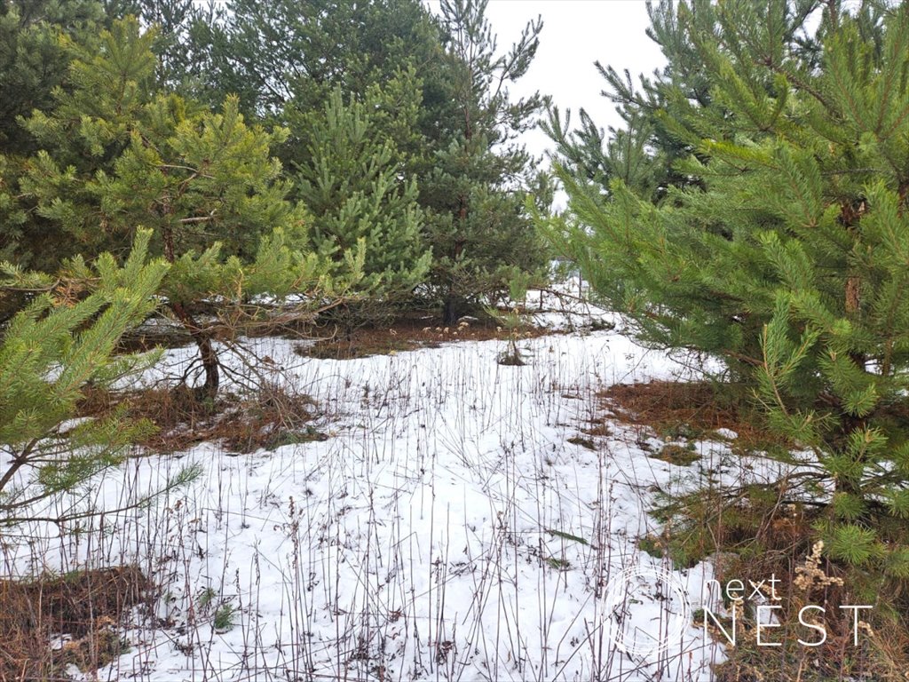 Działka pod zabudowę 1250 m2 w Ławkach, las, media Ławki, Zajączka  1 250m2 Foto 1