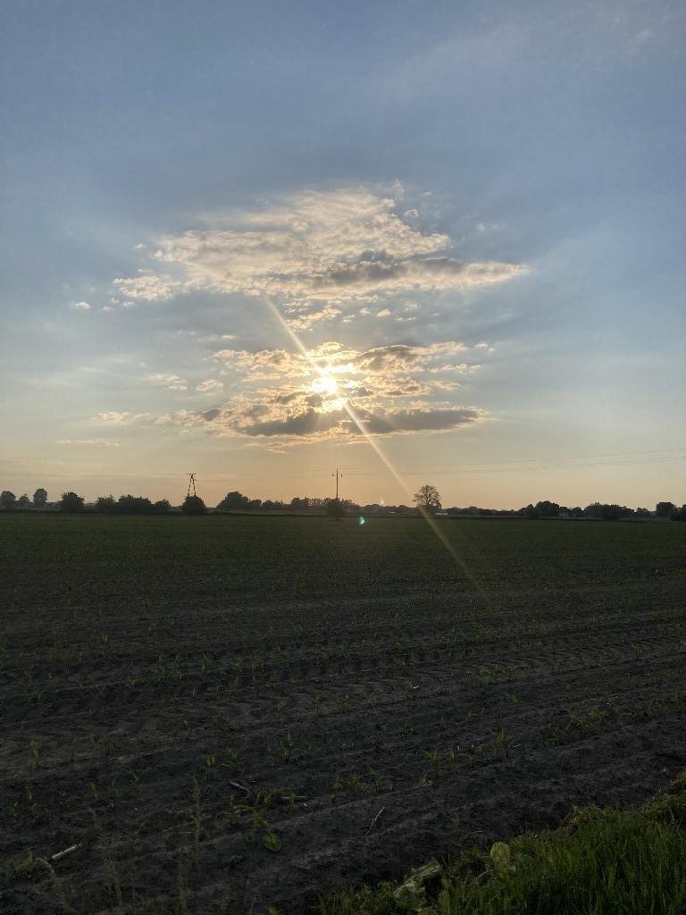 Działka budowlana na sprzedaż Toruń  5 000m2 Foto 1