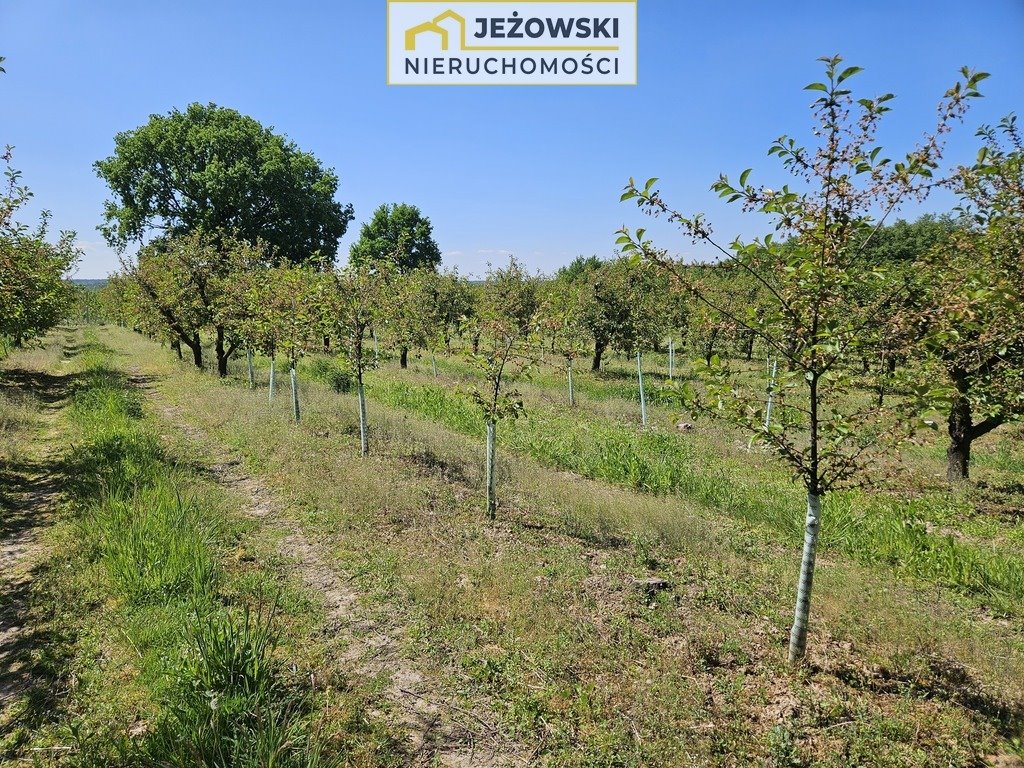 Działka budowlana na sprzedaż Kazimierz Dolny, Jeziorszczyzna  5 144m2 Foto 12