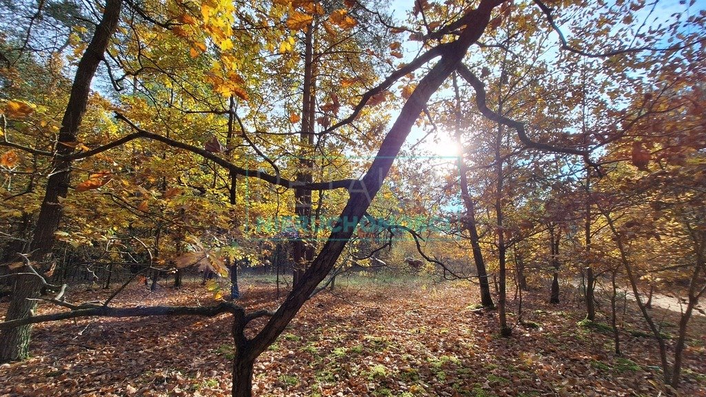 Działka budowlana na sprzedaż Radziejowice  4 297m2 Foto 1