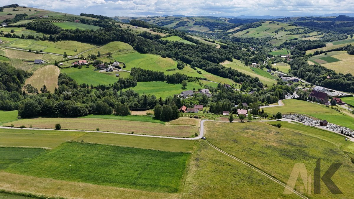 Działka budowlana na sprzedaż Sienna  3 100m2 Foto 12