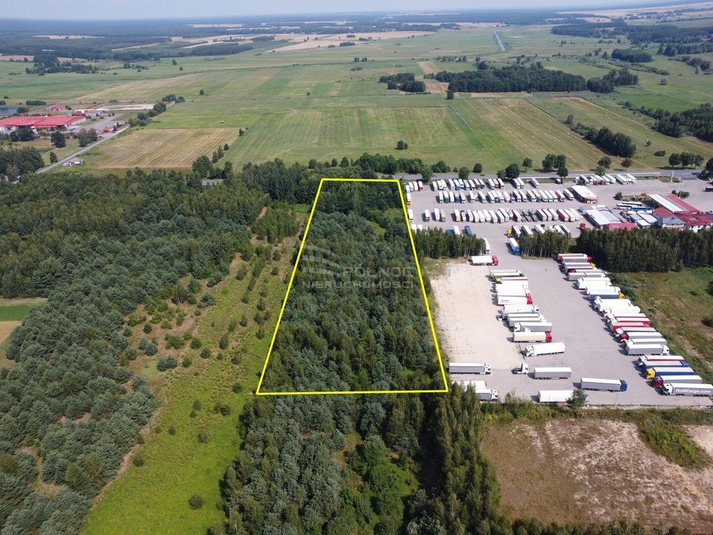 Działka inwestycyjna na sprzedaż Horbów-Kolonia  17 300m2 Foto 5