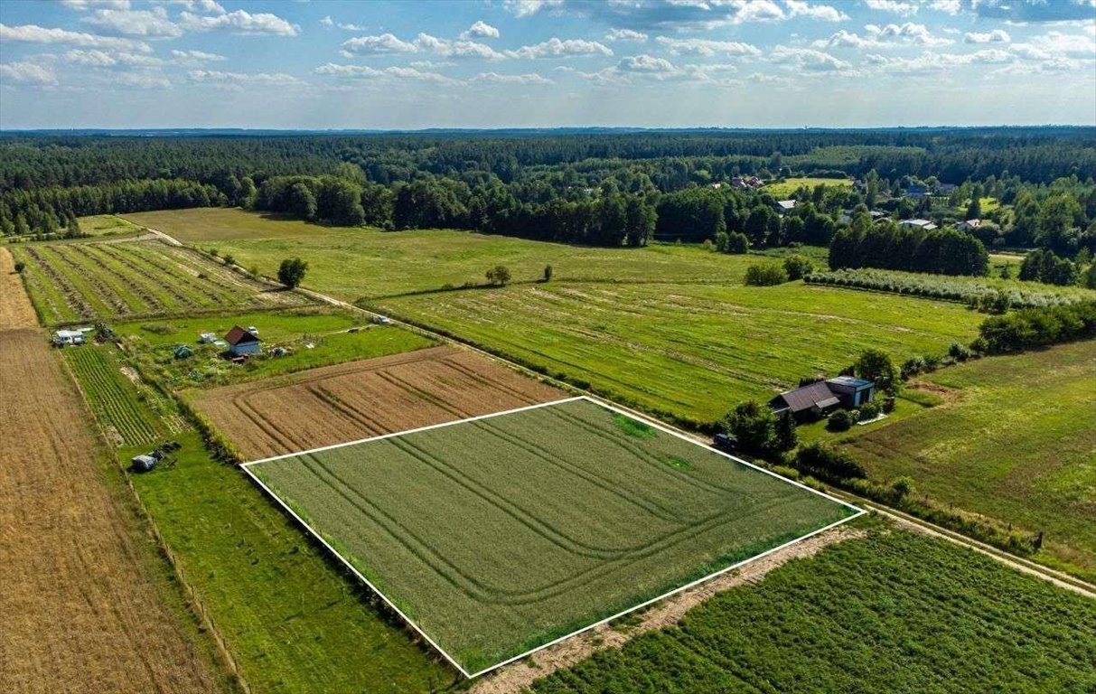 Działka budowlana na sprzedaż Dziarnówko  3 000m2 Foto 2