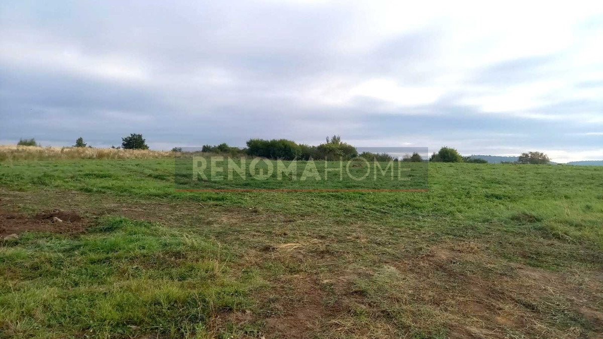 Działka budowlana na sprzedaż Wałbrzych, Rusinowa  1 700m2 Foto 4
