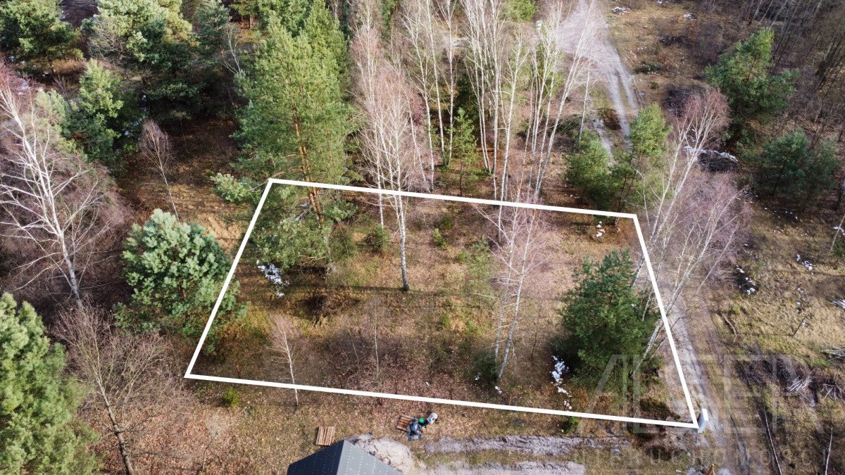 Do sprzedania działka 1000 m² w Ławkach w otulinie Chojnowskiego Parku Ławki, Wrzosowa  1 000m2 Foto 1