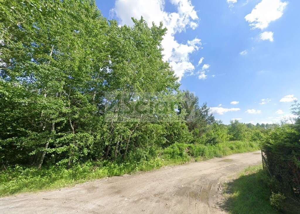 Działka 8463 m² pod dom i rekreację, blisko natury - polecam! Szczęsne  8 463m2 Foto 1