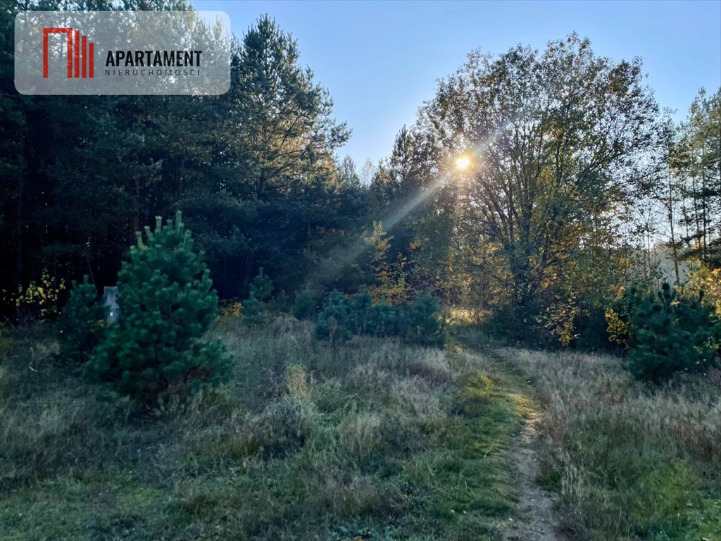 Działka budowlana na sprzedaż Ostrowiec  705m2 Foto 1