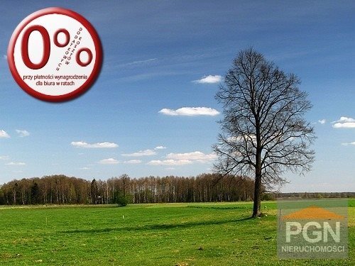 Działka 4800 m² pod dom jednorodzinny w Połchowie Połchowo  4 800m2 Foto 1