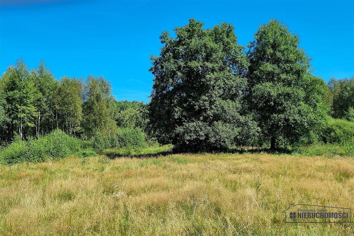 Działka inna na sprzedaż Stare Wierzchowo  18 199m2 Foto 11