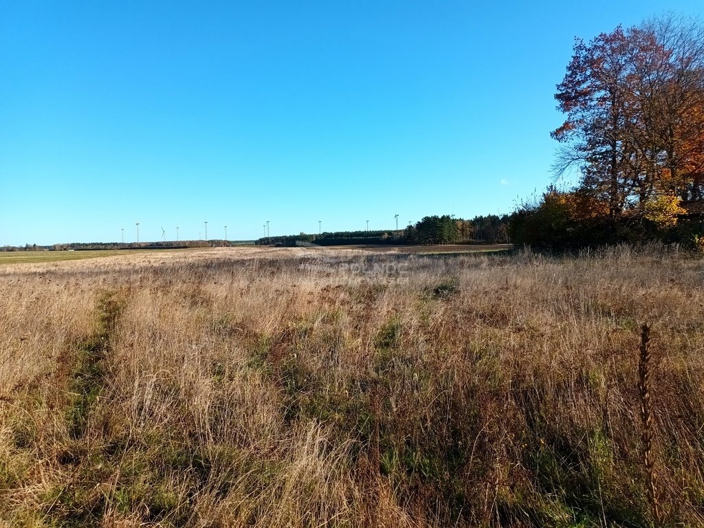 Działka budowlana na sprzedaż Głobino, Główna  1 000m2 Foto 11