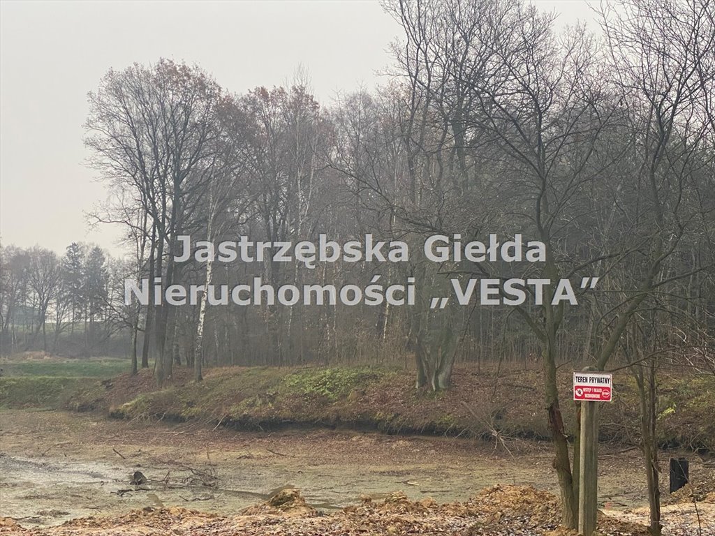 Działka inna na sprzedaż Jastrzębie-Zdrój, Ruptawa  6 833m2 Foto 2