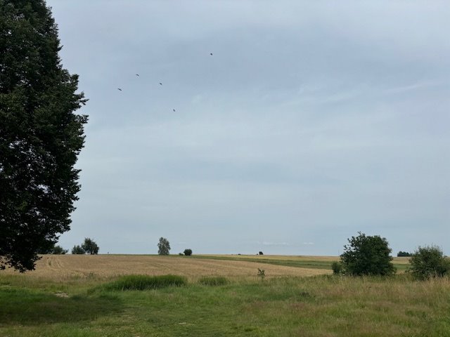 Działka inwestycyjna na sprzedaż Gryfów Śląski  5 400m2 Foto 4