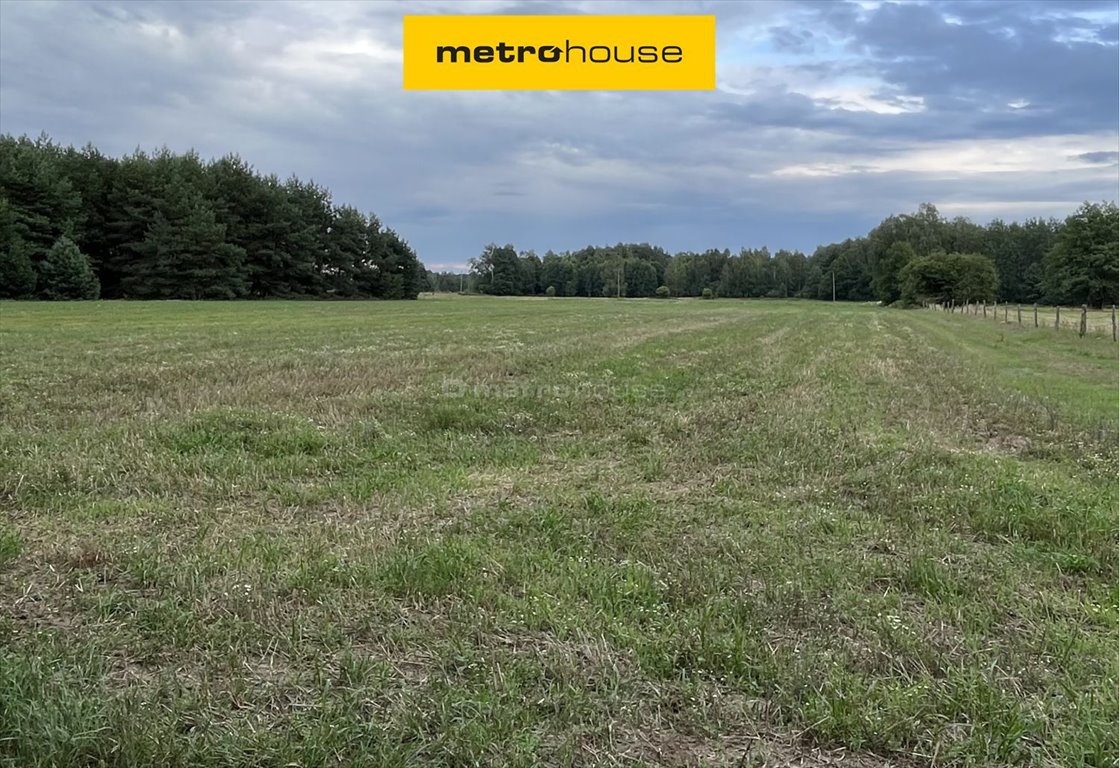 Działka rolna na sprzedaż Zdziwój Stary  65 709m2 Foto 1