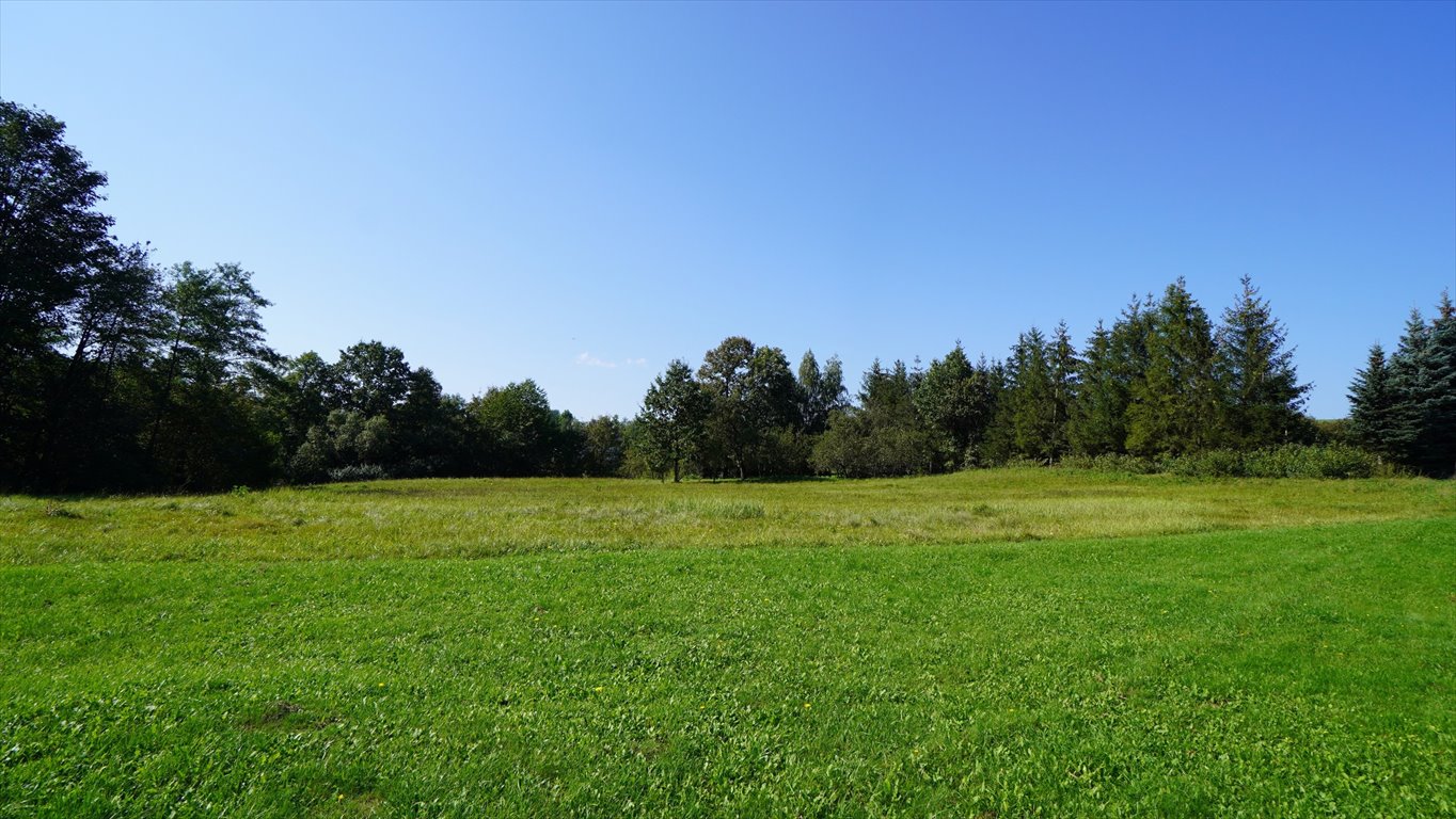 Działka budowlana na sprzedaż Bednarka  2 930m2 Foto 4